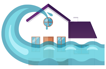 Selective Flood Insurance